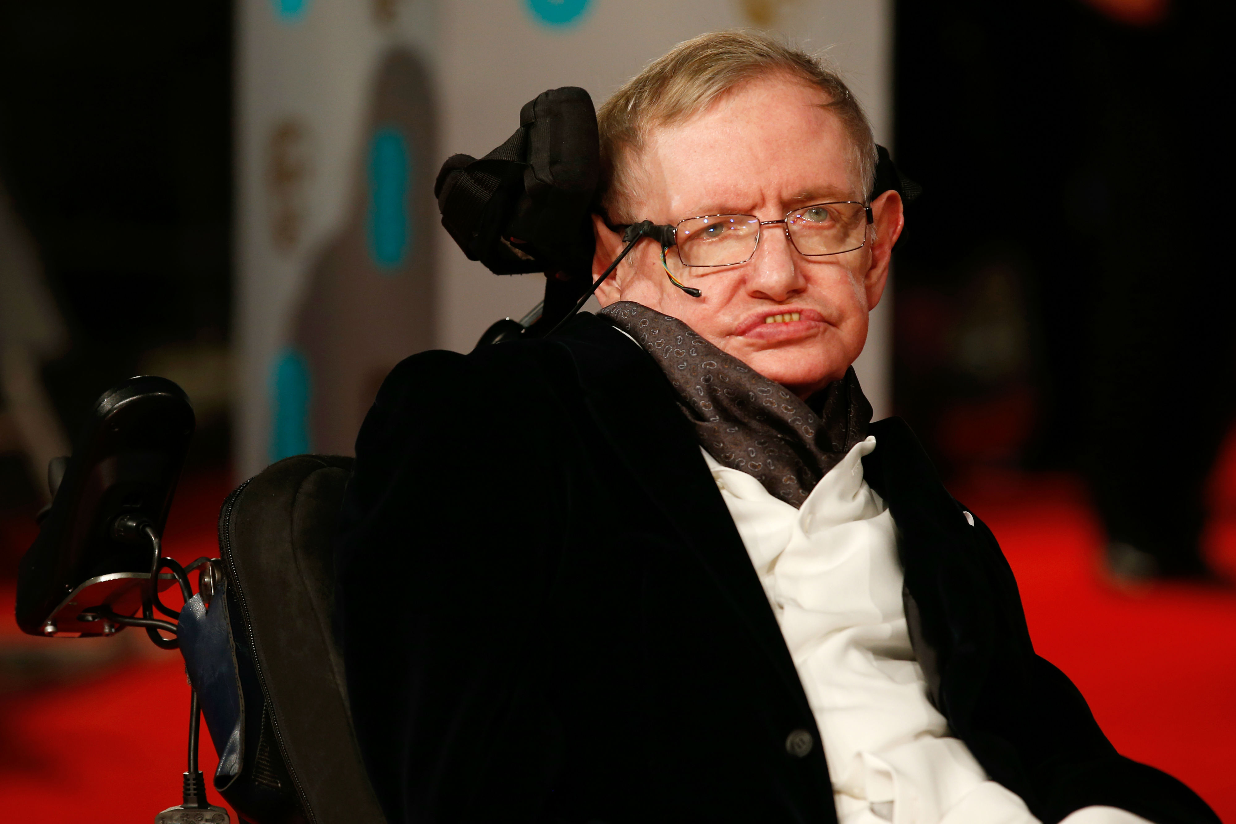 Revelan el archivo de Stephen Hawking: desde cartas hasta guiones de Los Simpson