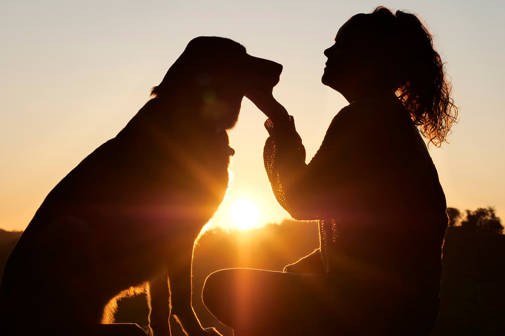 11 buenas razones para adoptar un perro