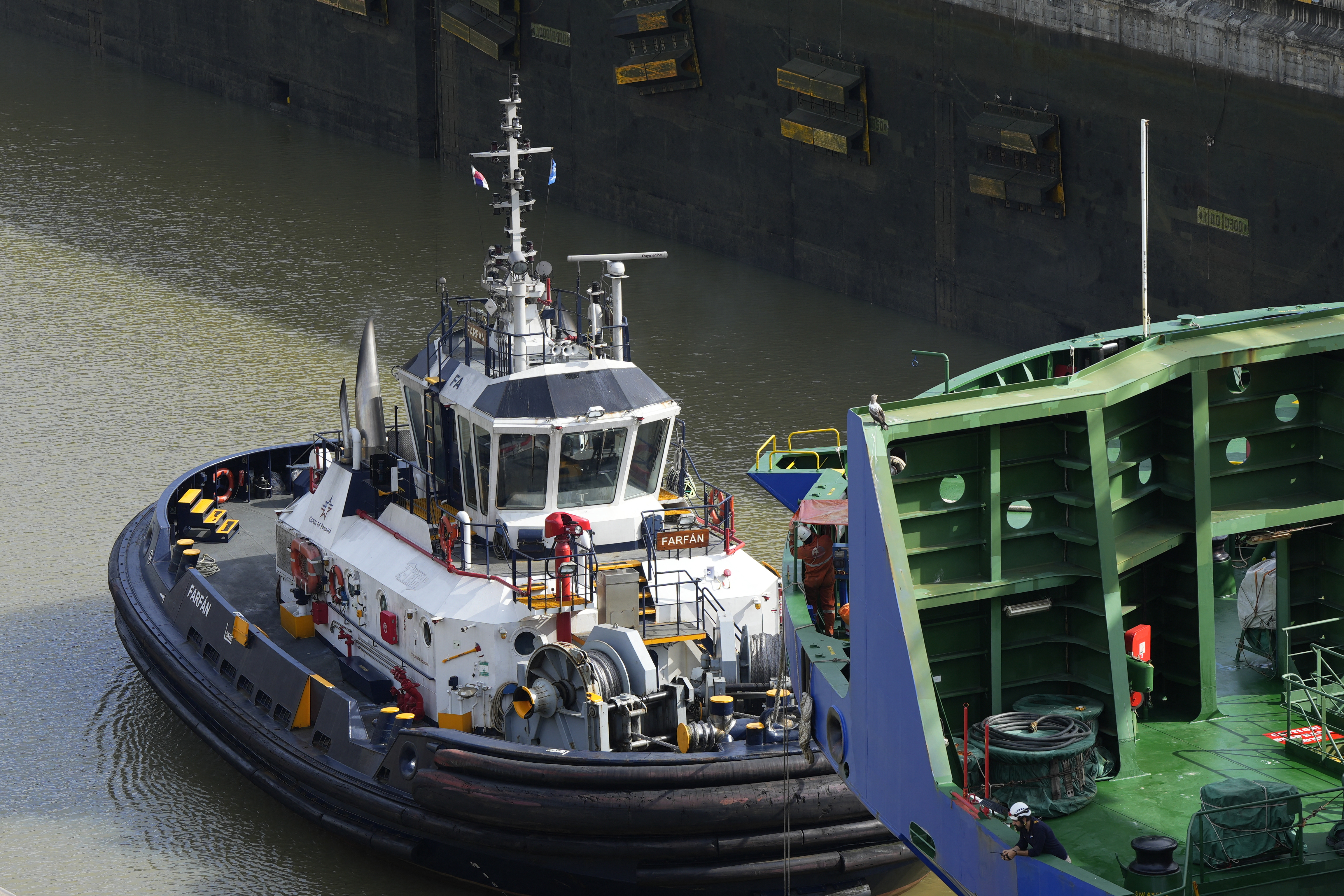 A tugboat saisl near a cargo ship through the Cocoli Locks at the Panama Canal, in Panama, on August 12, 2024.