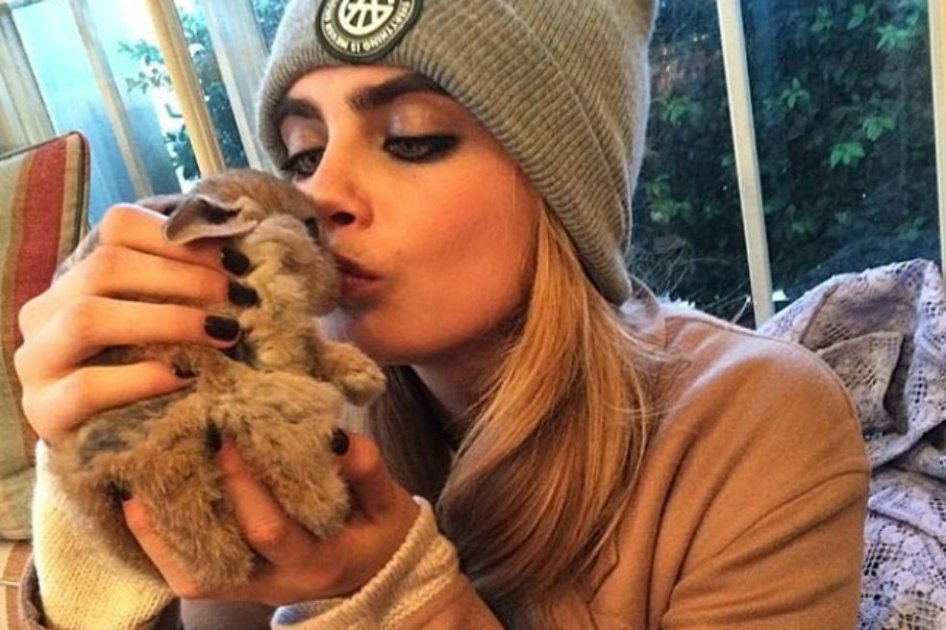 La modelo que contrató una niñera para su conejo