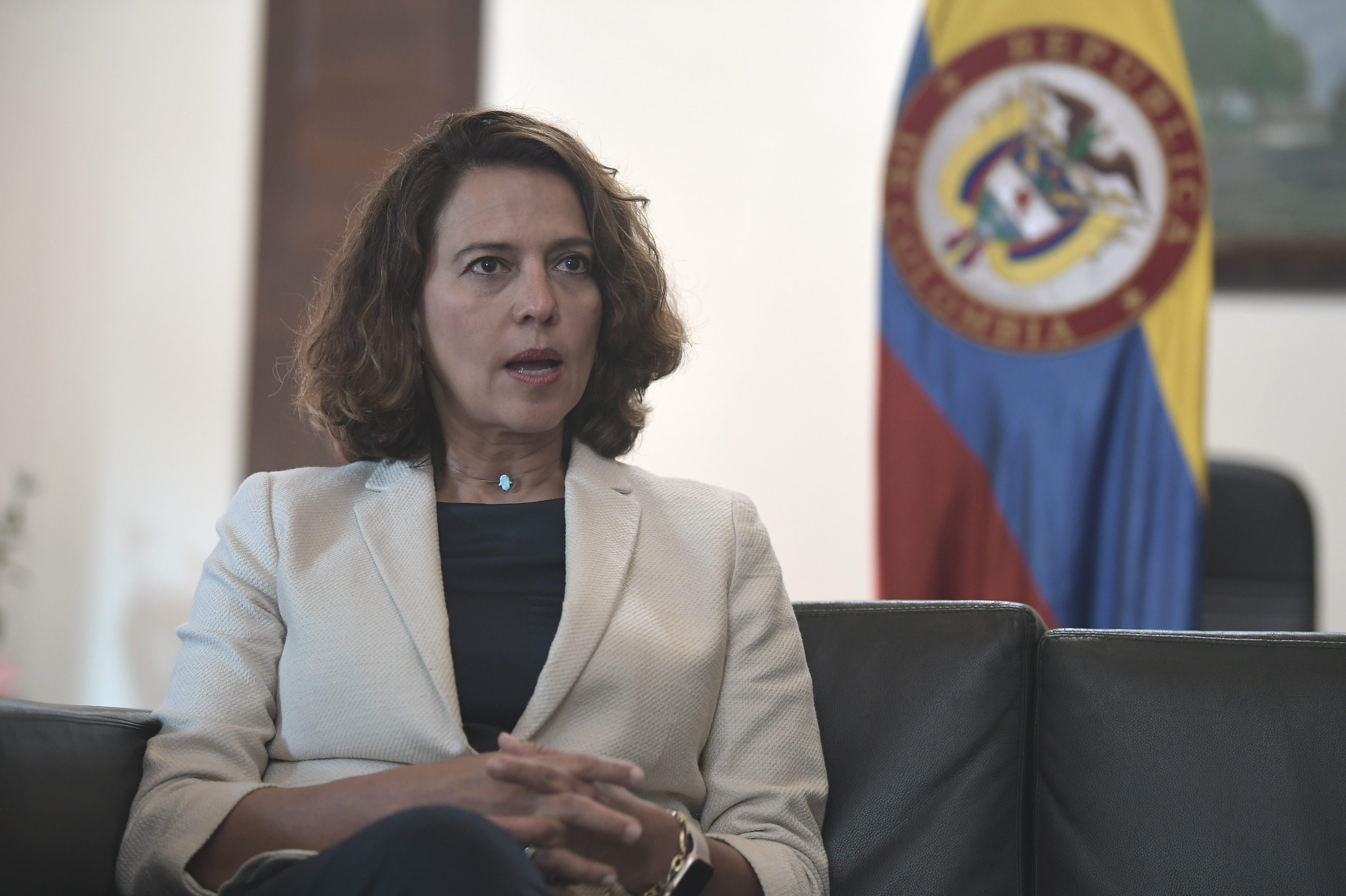 La ministra del Interior aseguró que desde el Gobierno se revisarán varios de los proyectos anticorrupción que se hundieron para tomar la decisión sobre radicarlos nuevamente.Mauricio Alvarado - El EspectadorNo se ha podido entender del todo el enredo con el falso conciliador, Gabriel Vallejo, que dijo que usted fue la que produjo esa confusión al pedirle que fuese a conciliar un texto para el que él no estaba asignado.