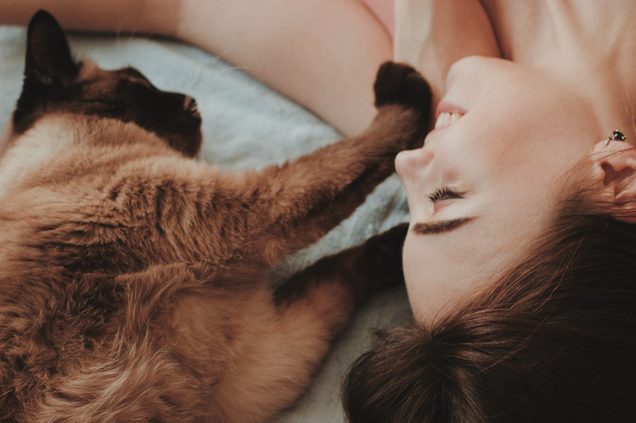 ¿Tu gato te manipula? Estas son las estrategias que usa