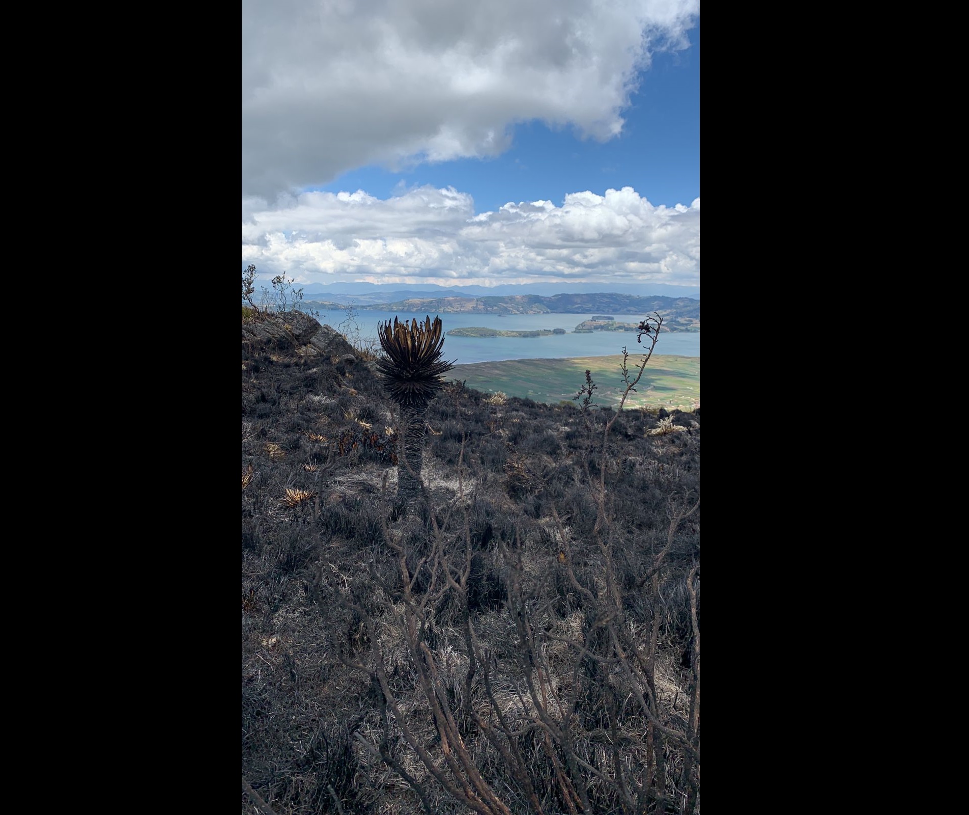 En fotos: Así quedó el páramo de Aquitania tras el incendio