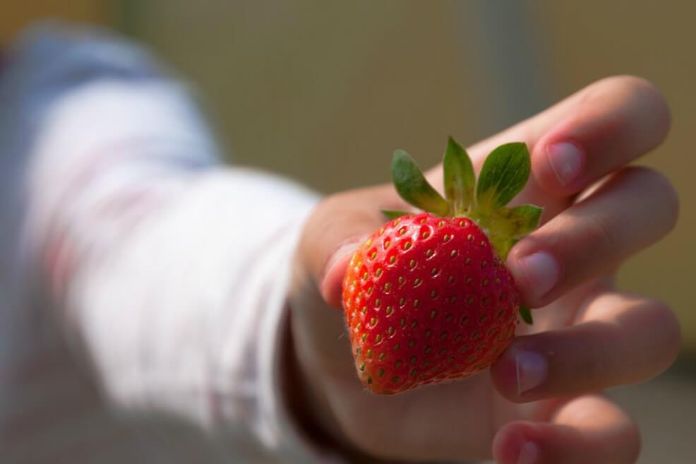 Comunicar a los niños los beneficios de los alimentos hace que coman más sano