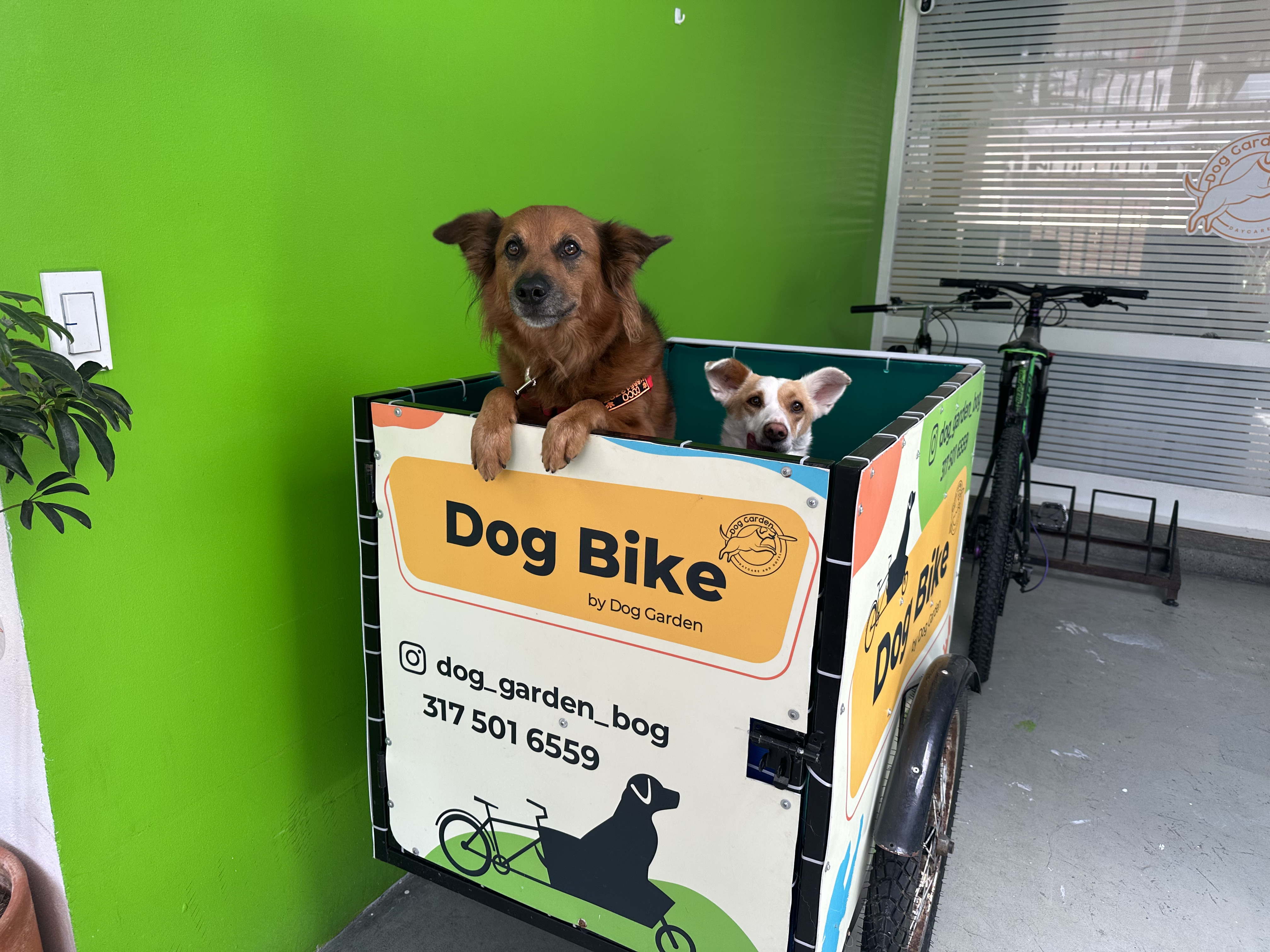 Dog Garden se caracteriza por contar con supervisión personalizada para los peludos con un equipo humano de primera calidad.