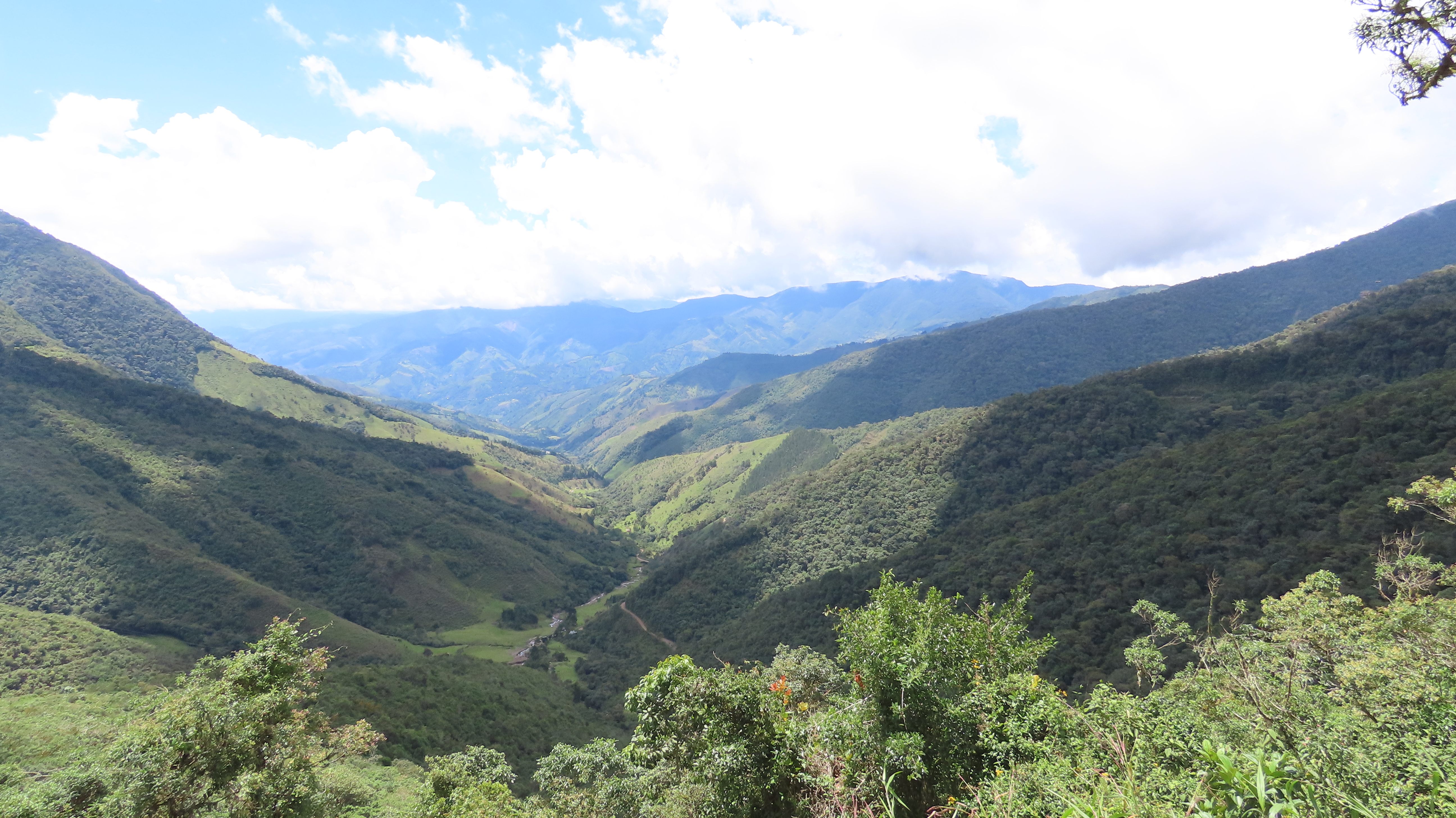 Convivir con animales silvestres, el objetivo que unió a comunidades en Antioquia