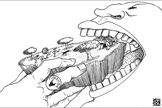 Cartones de Garzón