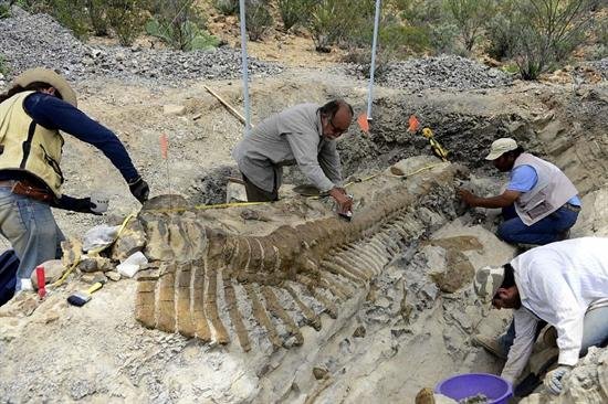 Hallan primer nido con crías del dinosaurio con «pico de pato»