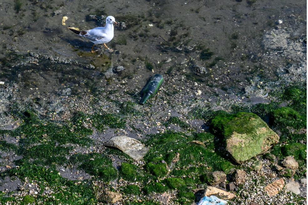 La contaminación amenaza al Mar Caspio