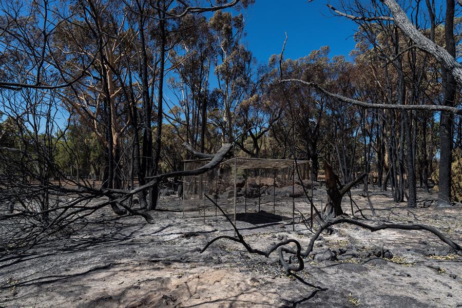 Vuelven los incendios en Australia: los vientos avivan las llamas