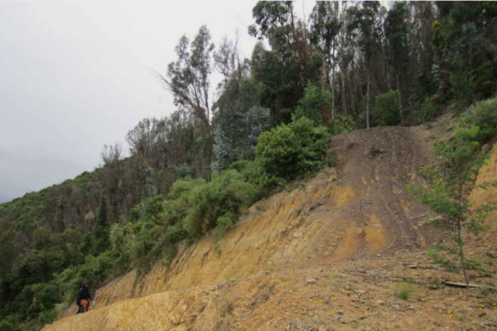 Basuras, invasiones y minería amenazan cerros orientales de Bogotá