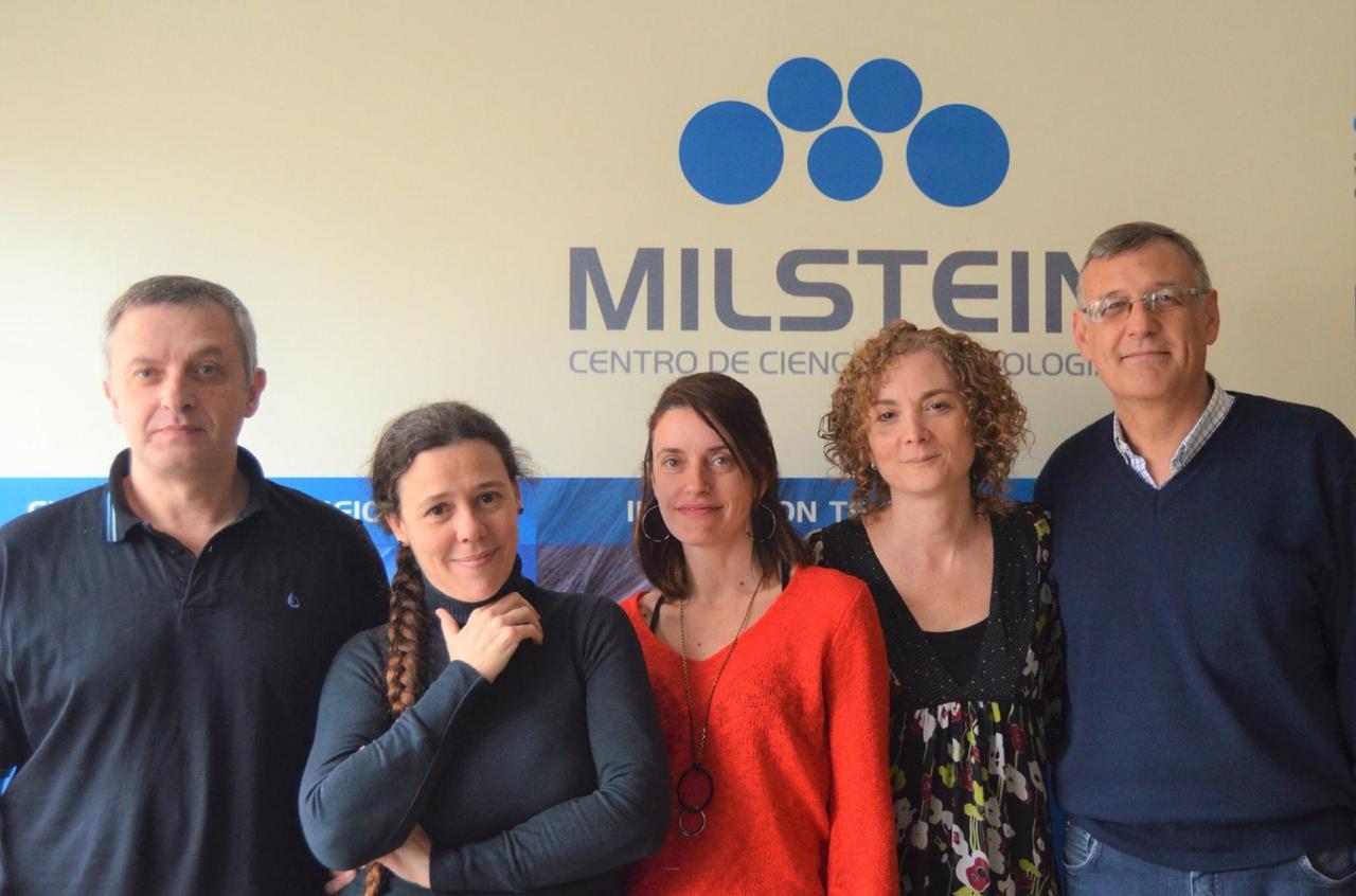 De izquierda a derecha: Santiago Werbajh, Carolina Carrillo, Luciana Larocca, Fabiana Stolowicz y Adrián Vojnov del equipo de investigación y Desarrollo del Instituto Milstein - CONICET - Fundación Cassará. Investigadores de Argentina que desarrollaron la prueba LAMP para coronavirus.