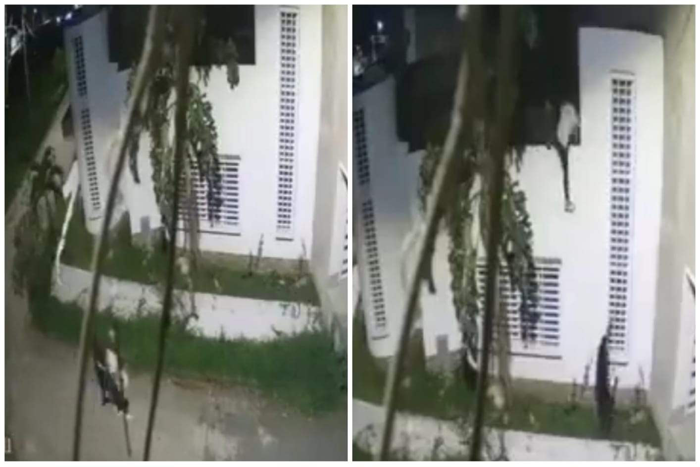 Video: así fue el robo a la casa del alcalde de Buga