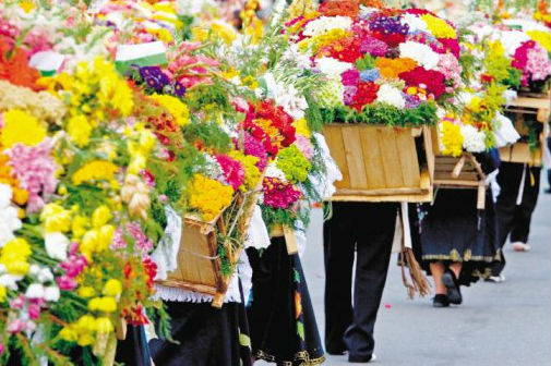 Exportaciones de flores crecieron 8% en el primer semestre del año