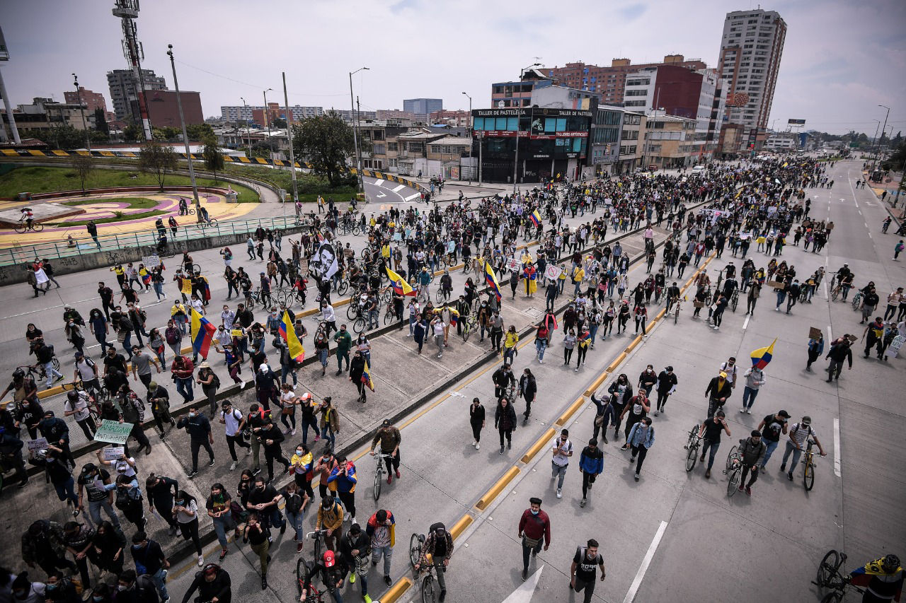 Animales en medio de protestas: ¿cuál es su situación y cómo cuidarlos?
