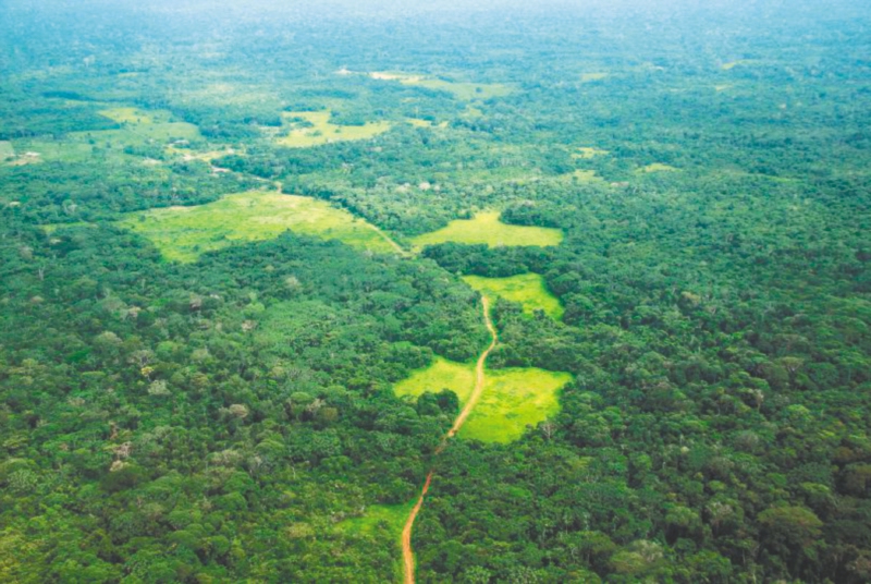 Las pruebas de la Fiscalía contra tres alcaldes por atravesar una vía ilegal en la Amazonia