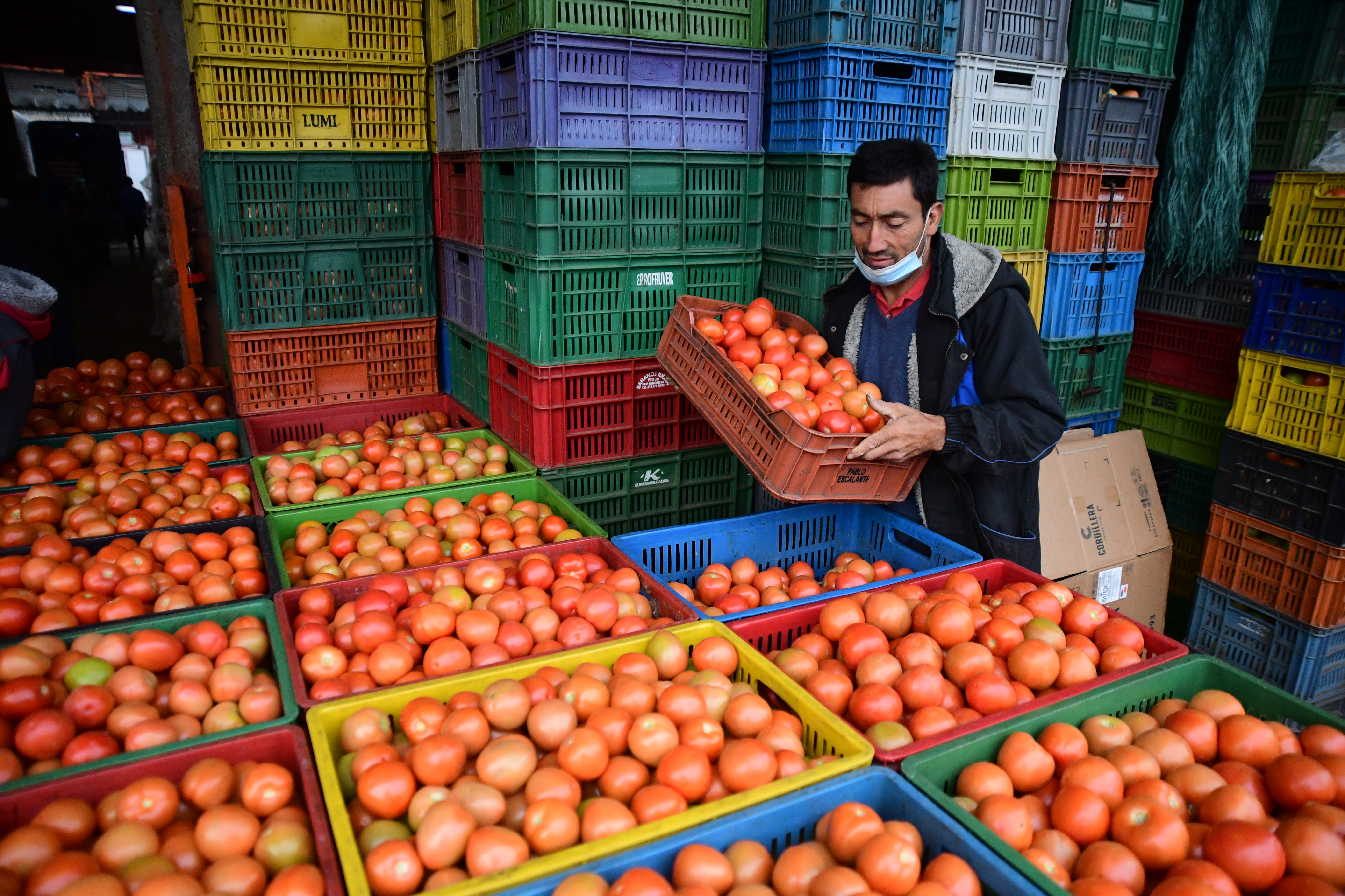 Aspectos varios de la venta de frutas y verduras de esta central de abastos ubicada en Bogotá