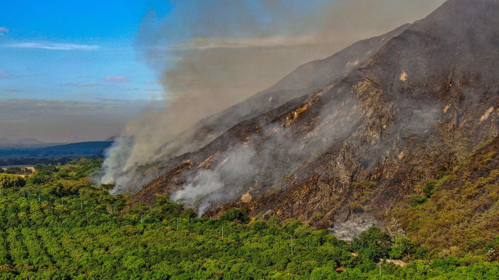 No son solo incendios provocados: los otros factores detrás de las llamas en Tolima