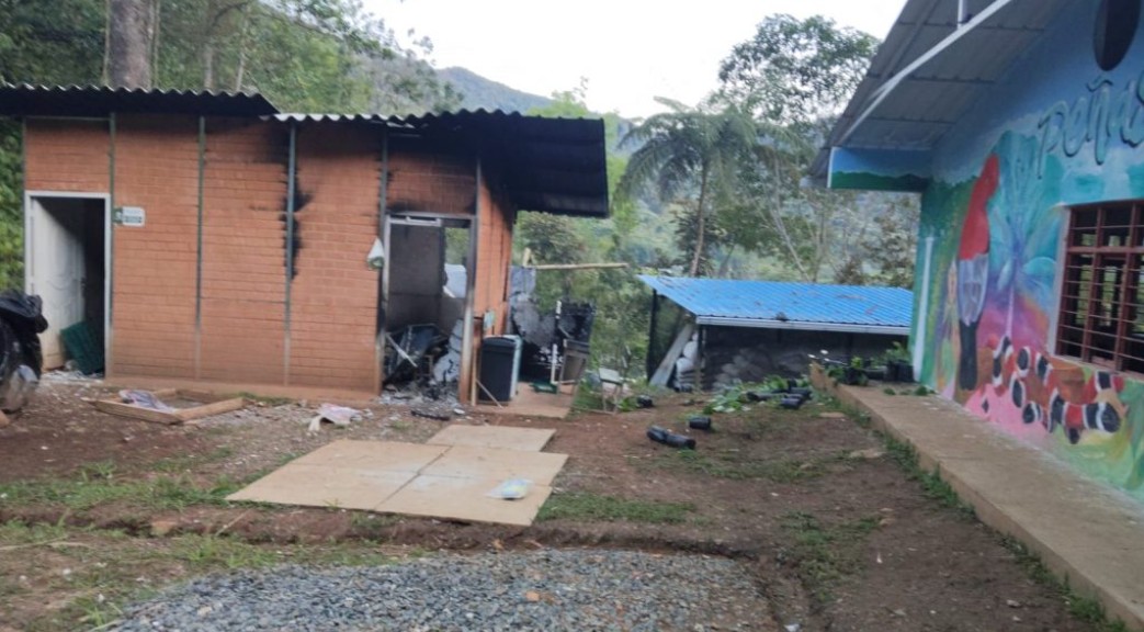 Denuncian quema de viveros tras operativo ambiental en Parque Nacional Natural Farallones