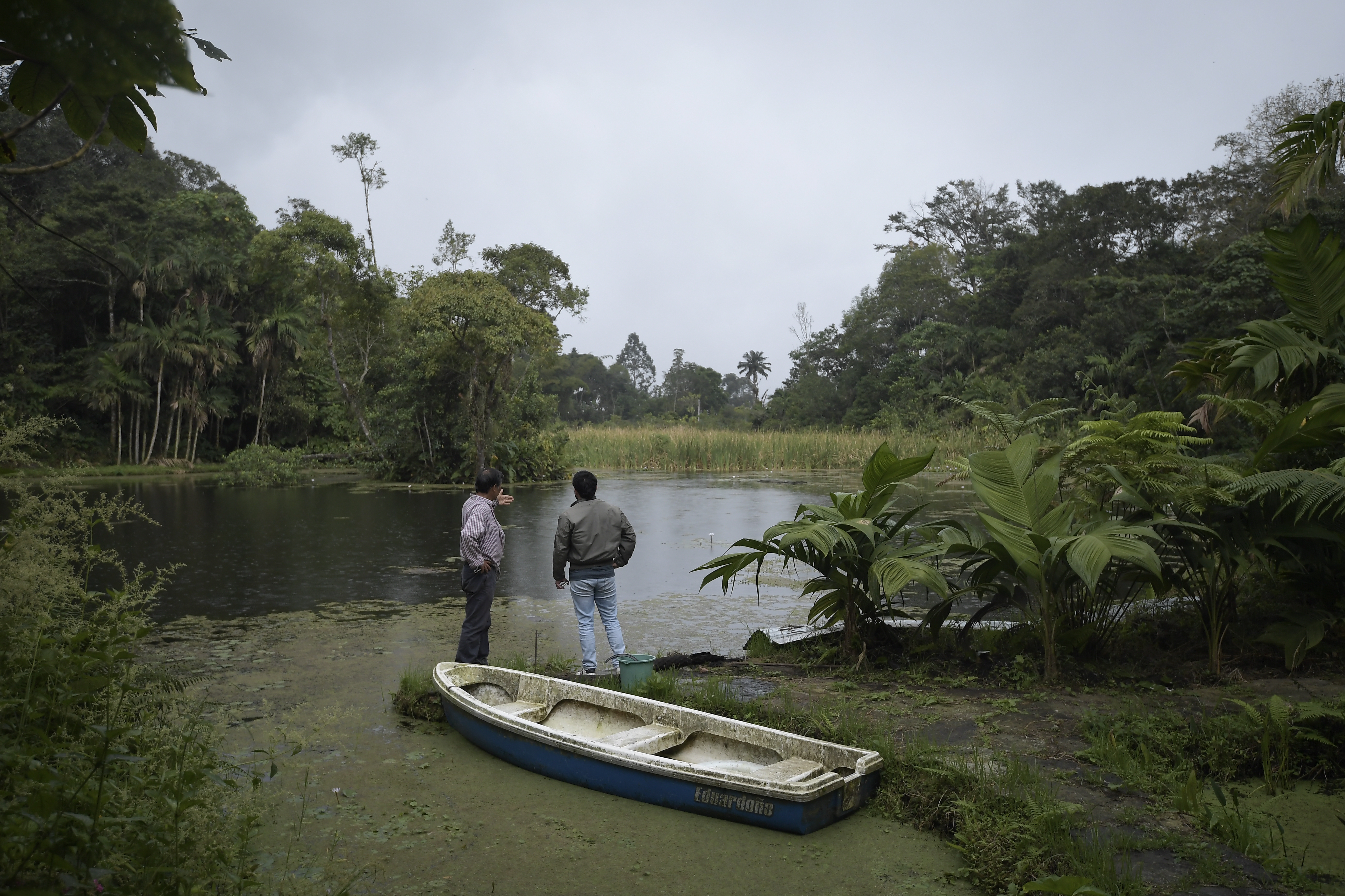 Humedal ubicado en el municipio de Zipacón