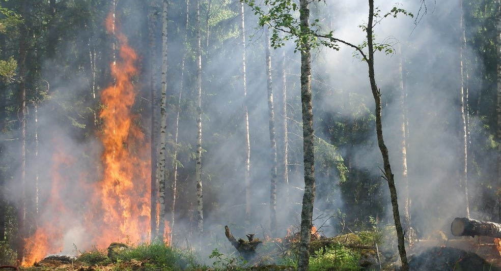 Cuba, otro país que sufre por un gran incendio forestal