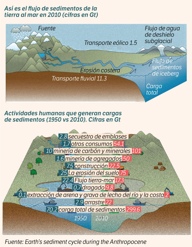 Así han afectado los sedimentos los ecosistemas.
