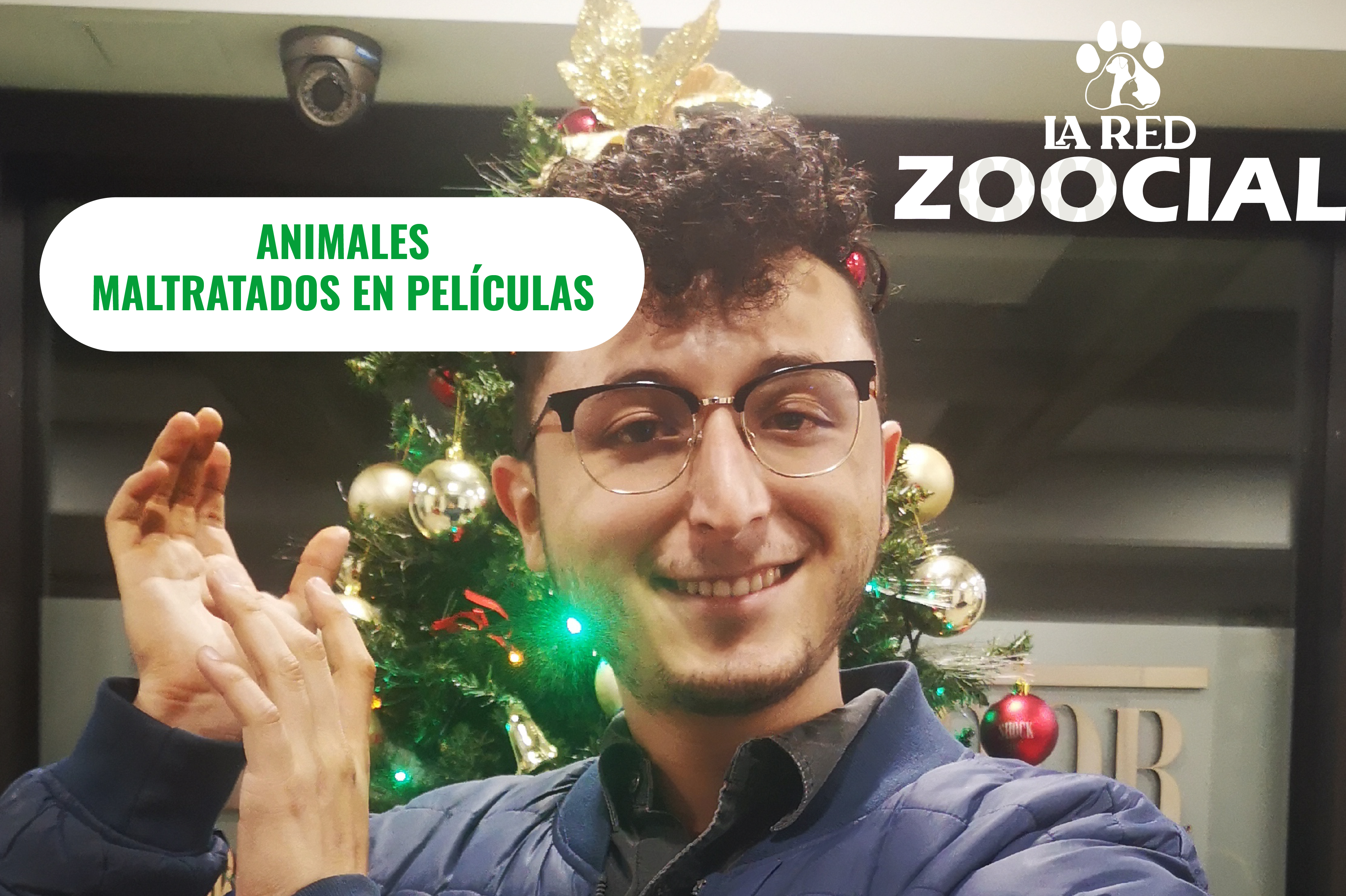 (VIDEO) ¿Los animales actores son maltratados en los rodajes de las películas?