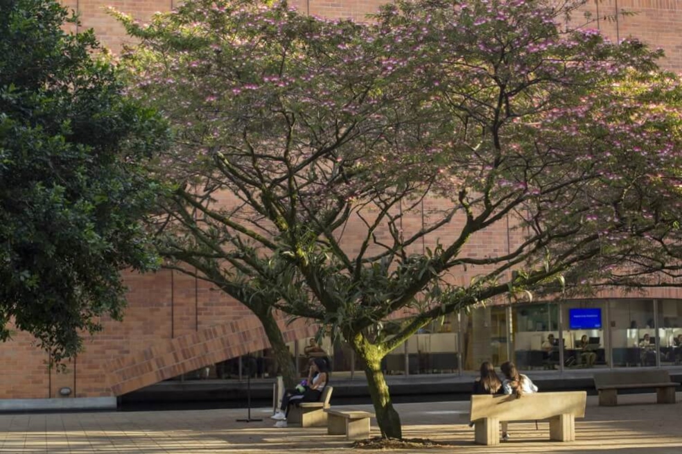 La Universidad Eafit tendrá nueva rectora: Claudia Restrepo