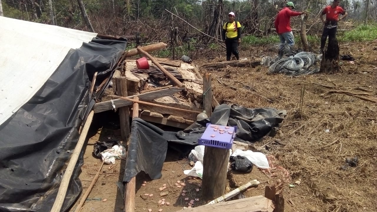 Operación Artemisa en el Meta: incertidumbre en la defensa ambiental y campesina