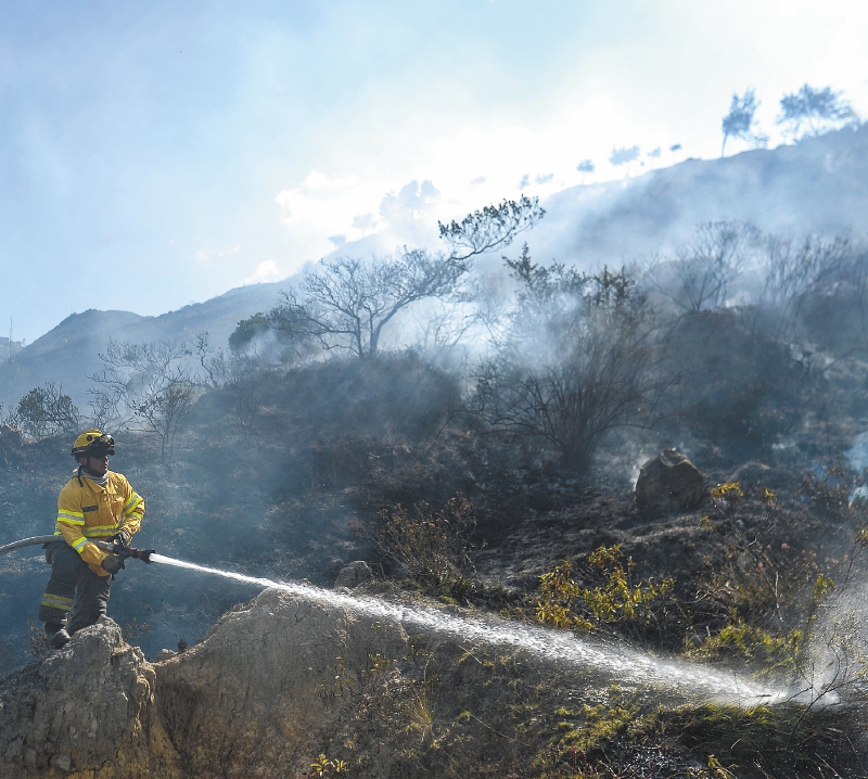 Los incendios en los cerros orientales de Bogotá están controlados