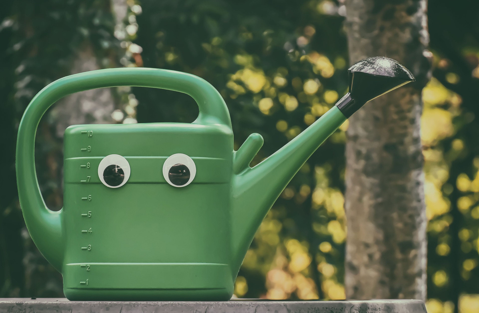 ¿Cómo regar las plantas en vacaciones? Estos son algunos métodos