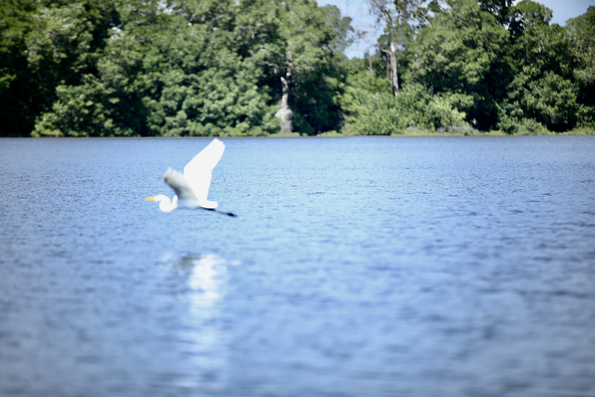 Un viaje a los pueblos palafito del Magdalena: un paraíso flotante