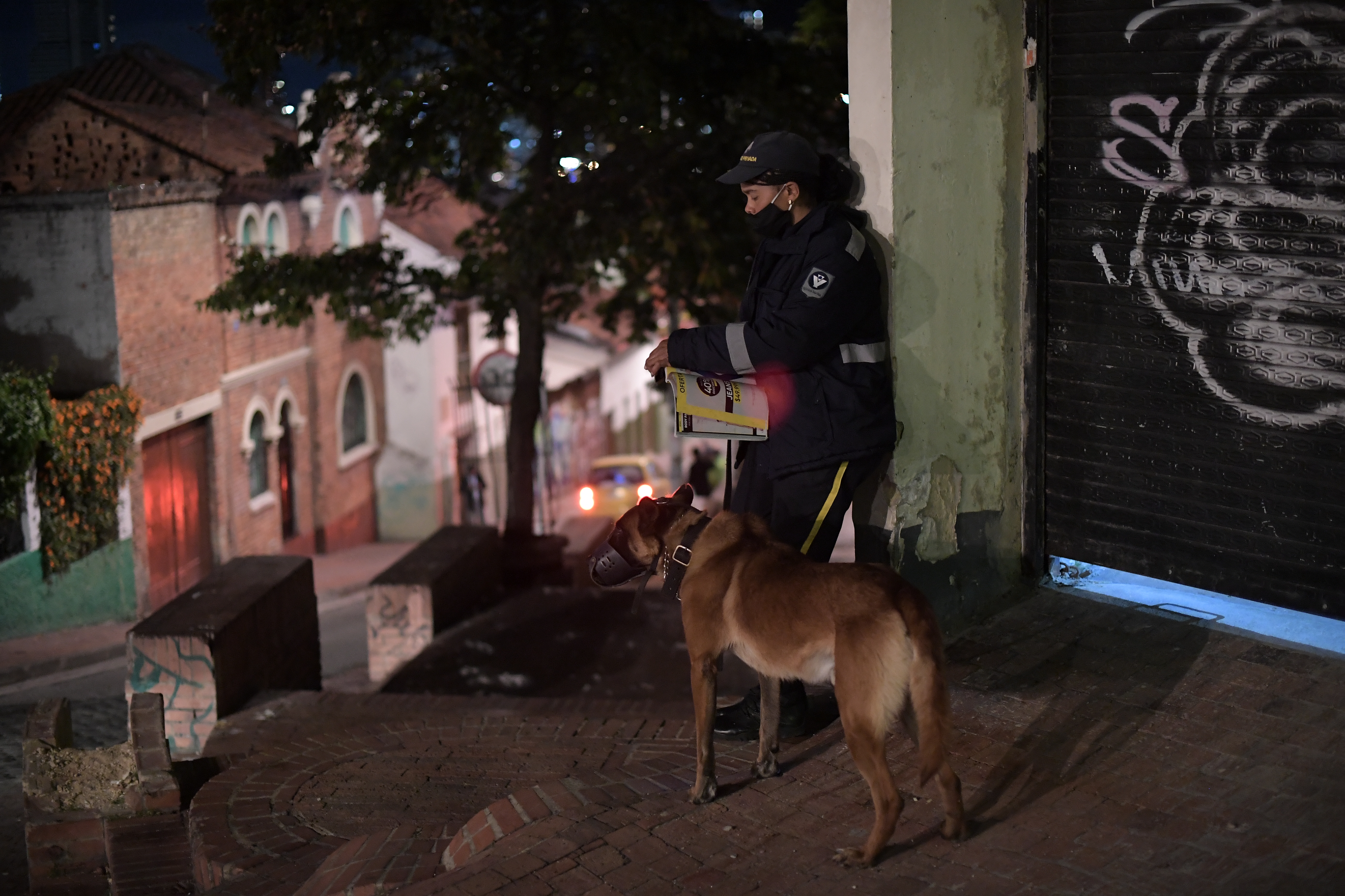 Proyecto busca prohibir el uso de perros para vigilancia y seguridad en el país