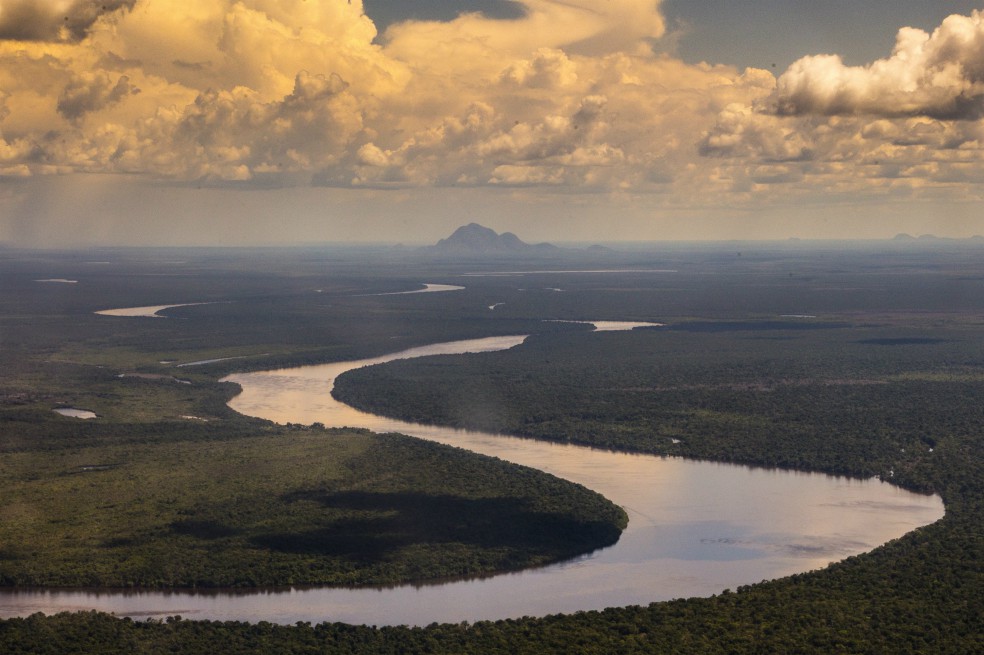 Pagos por servicios ambientales, la próxima tarea para la Amazonía