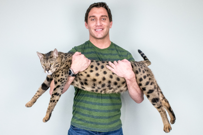 Datos curiosos sobre Fenrir, el gato más alto del mundo vivo | Guinness World Records
