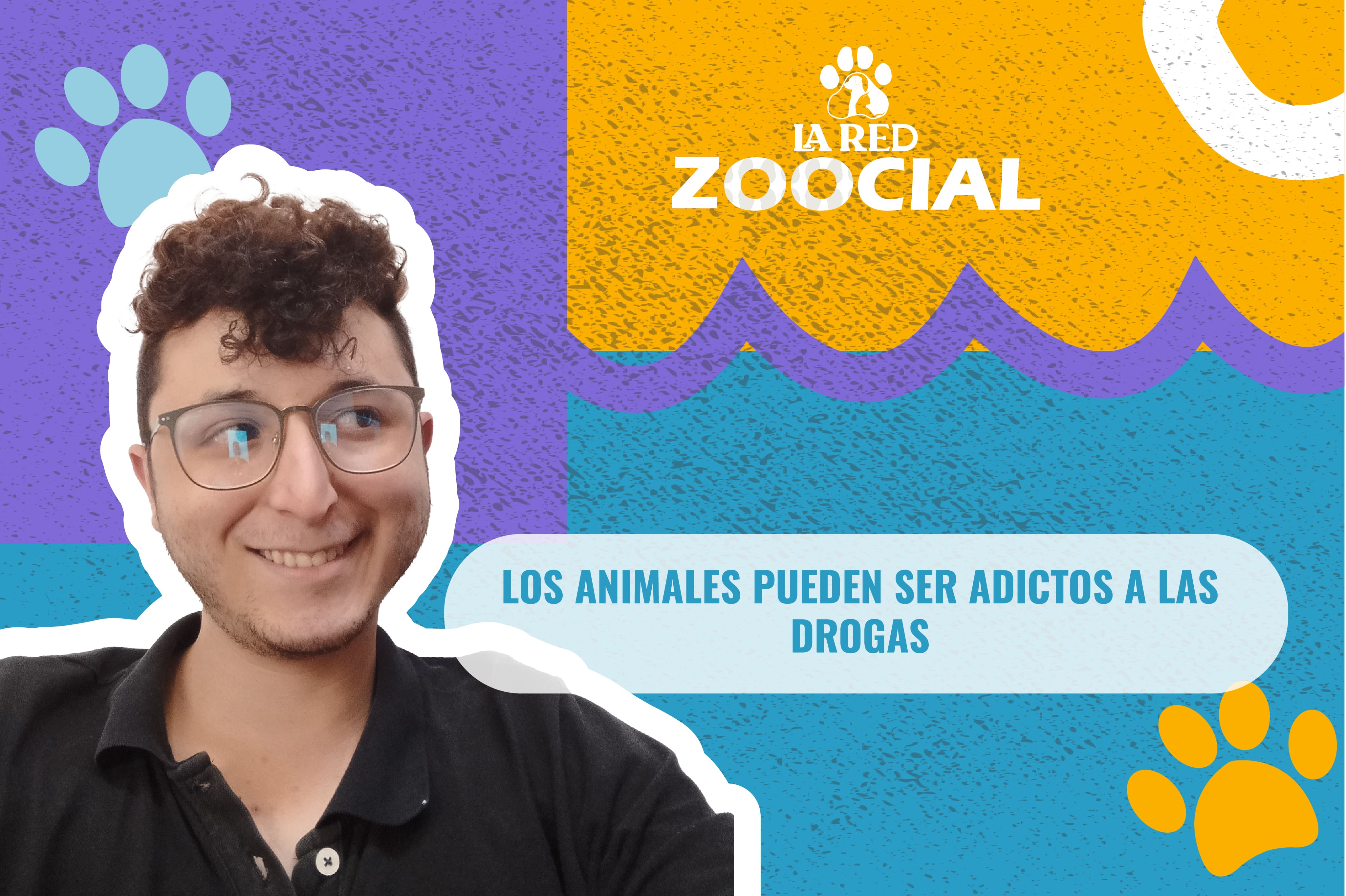 (Video) ¿Los animales pueden ser adictos a las drogas?