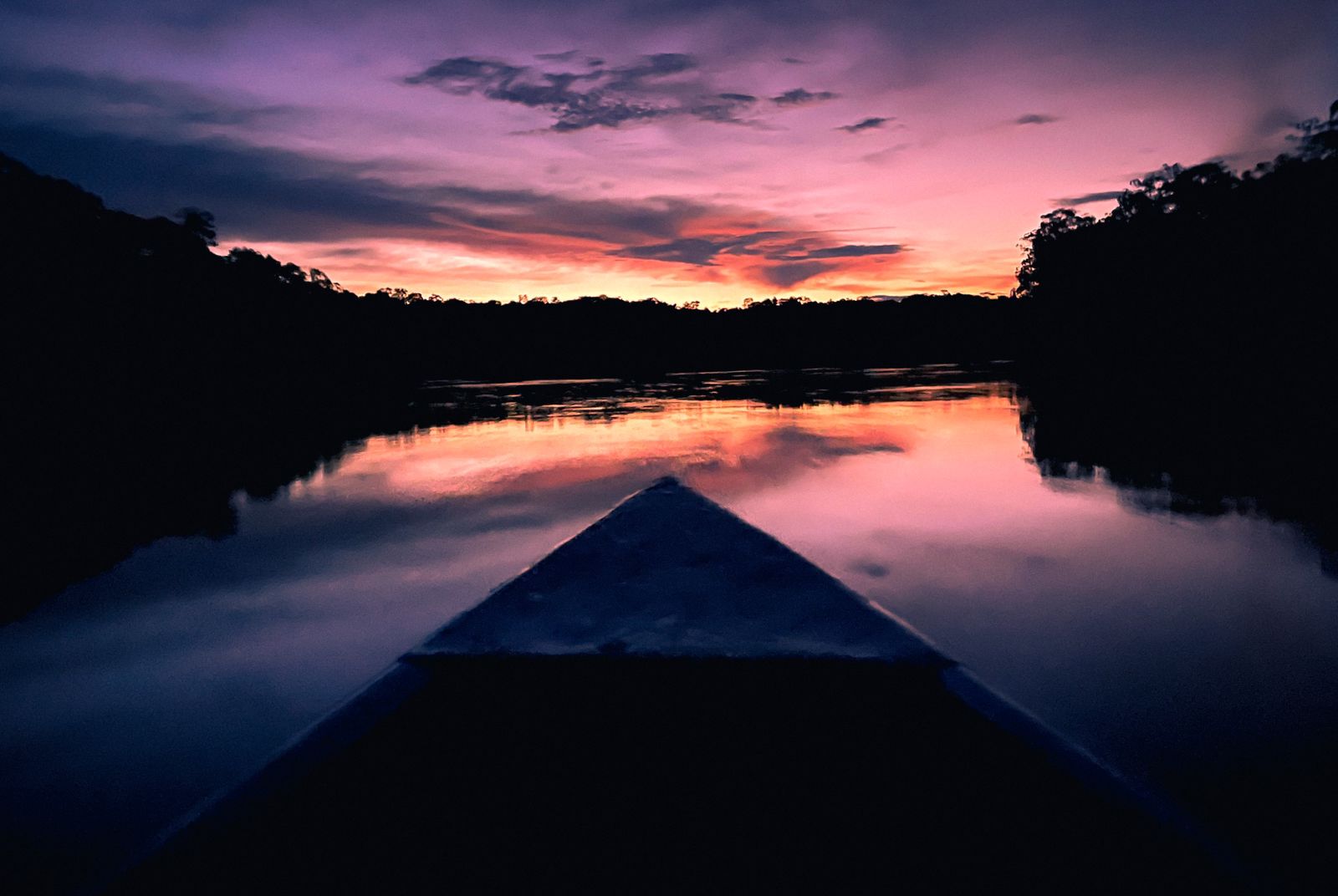 Vaupés es un lugar único en el mundo, con cerca de 54.000 kilómetros de selva conservada, más de 586 especies de fauna silvestre: 96 de peces y 550 de aves.