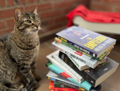 La librería colombiana que convierte la lectura en ayuda para animales sin hogar