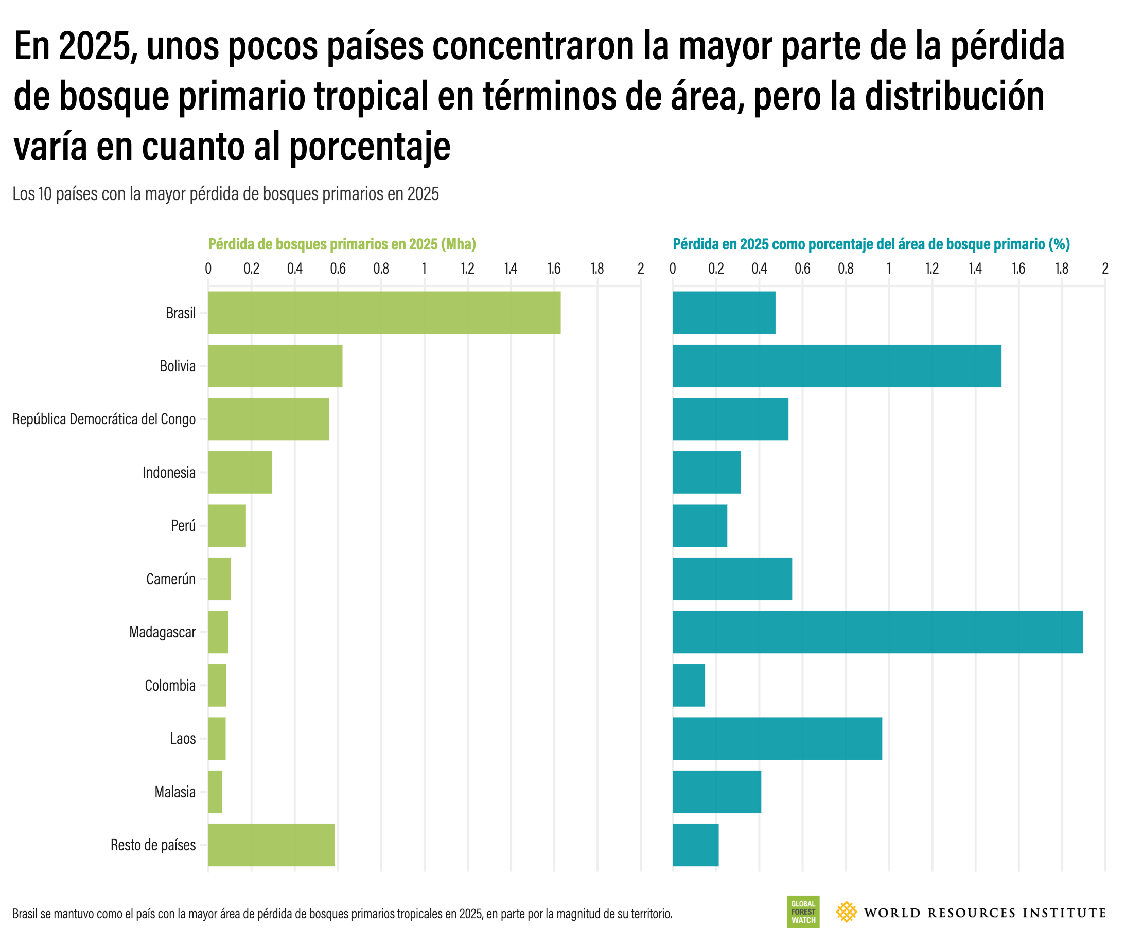 Los 10 países que más bosques primarios perdieron durante 2025.
