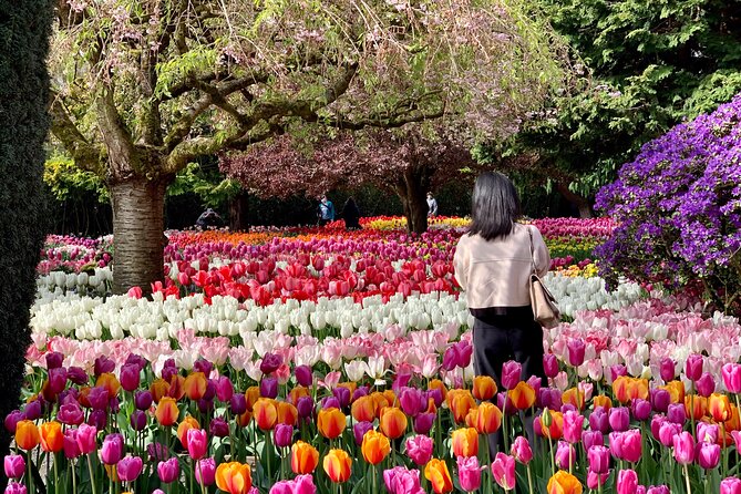 En imágenes: las floraciones más coloridas del mundo que puede ver en este momento