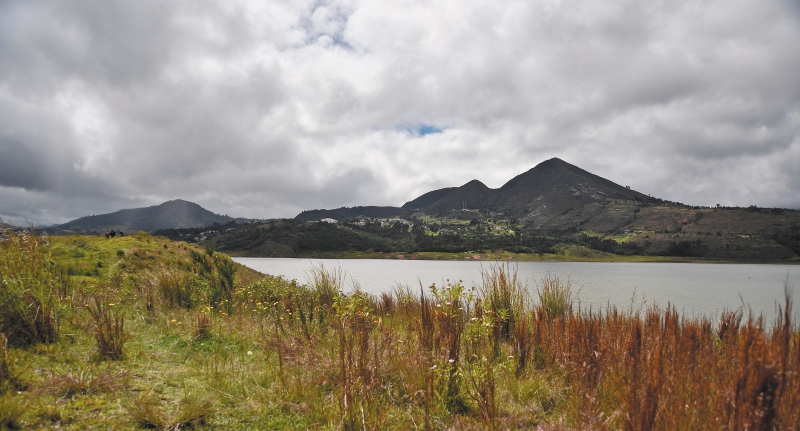 Las decisiones que cambiarán la política ambiental de Bogotá