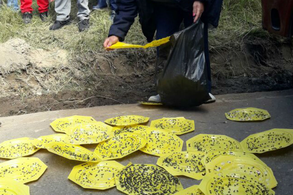 Vecinos del relleno Doña Juana protestan por proliferación de moscas
