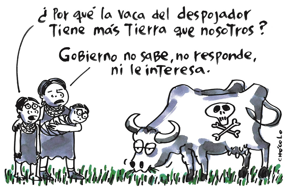 Chócolo