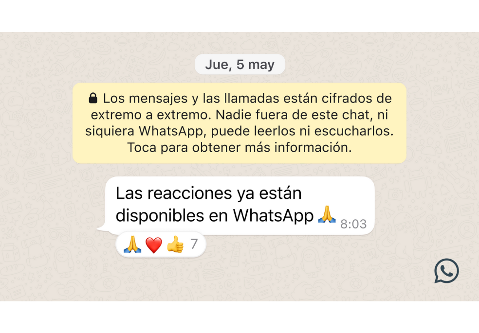 Whatsapp: ¿Qué hacer si todavía no aparece la opción de reaccionar?