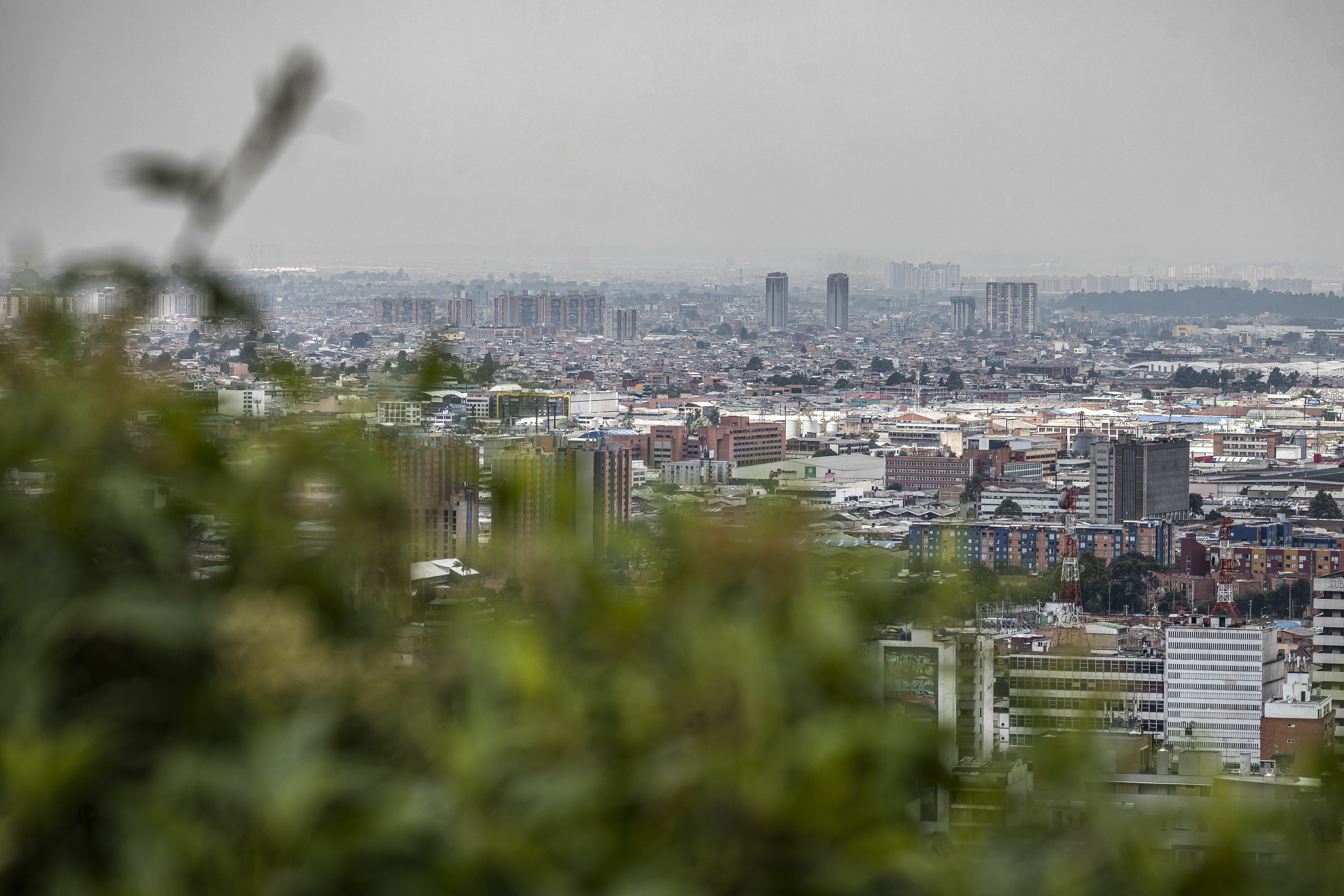 Bogotá ganó concurso de WWF que reconoce planes para enfrentar el cambio climático