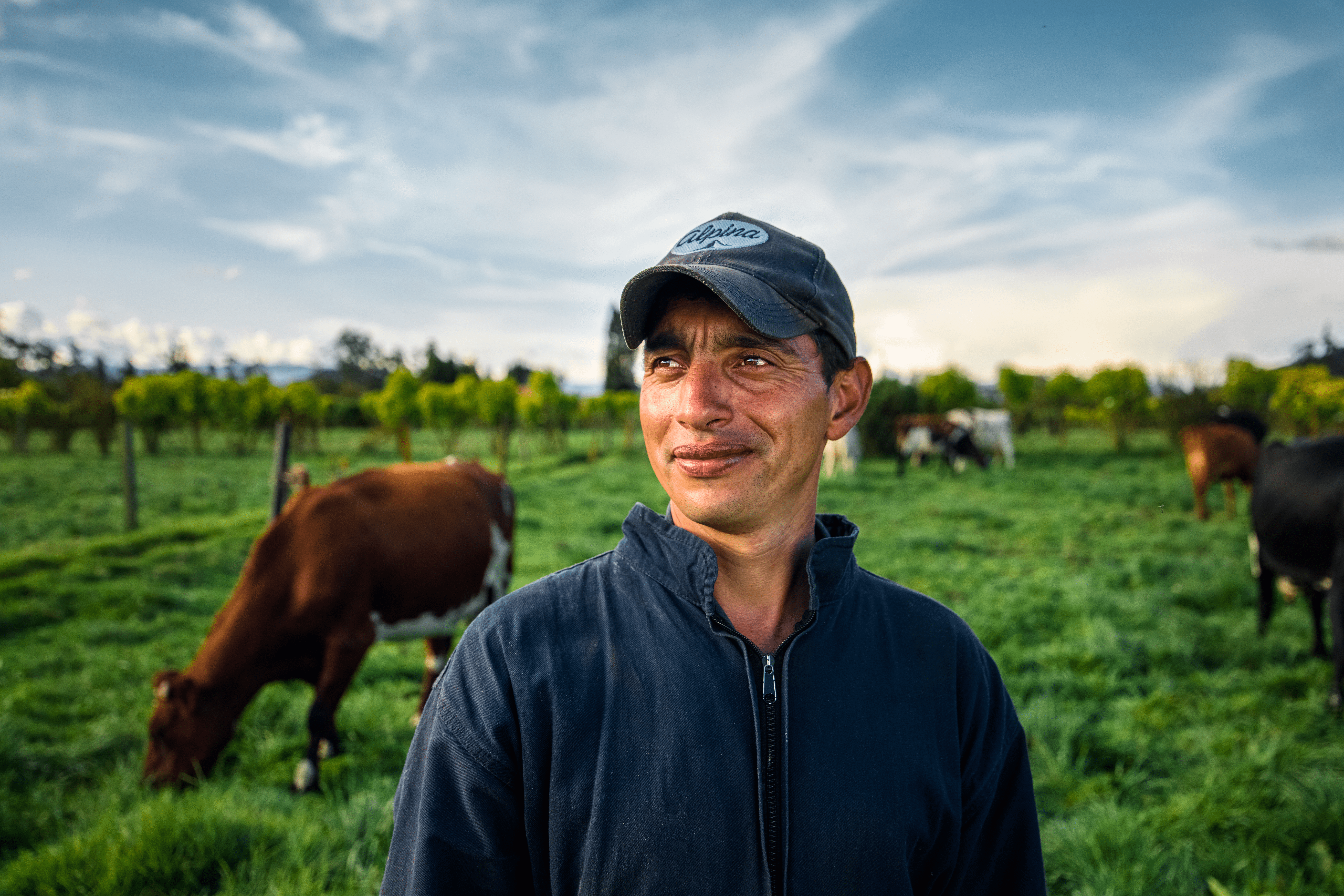 Leche Alpina: un trabajo en conjunto por la calidad y la nutrición
