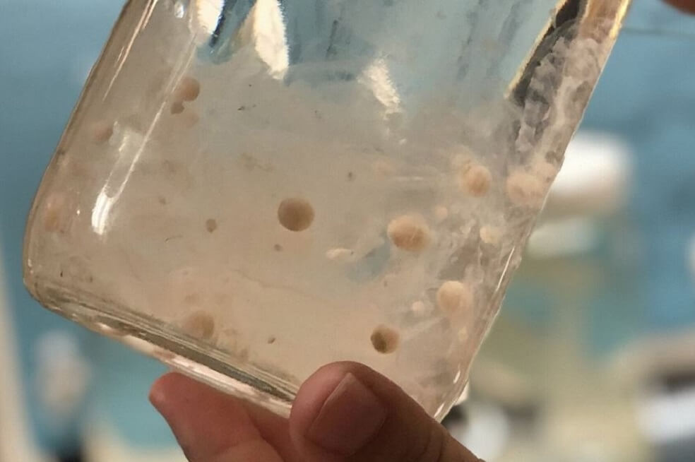 Los microplásticos en el océano son un millón de veces más de lo pensado
