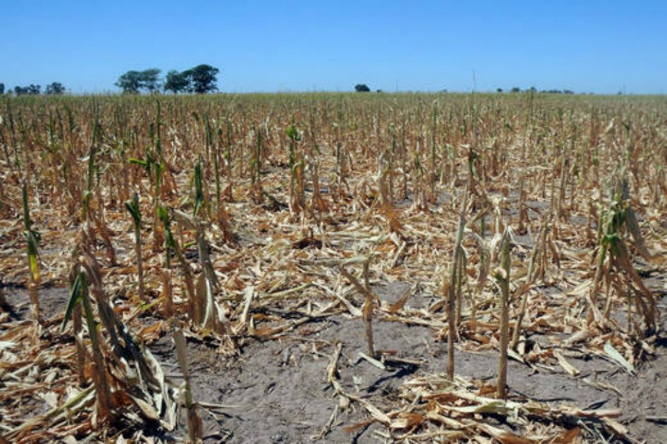 Honduras, al borde de una hambruna por fenómeno de El Niño