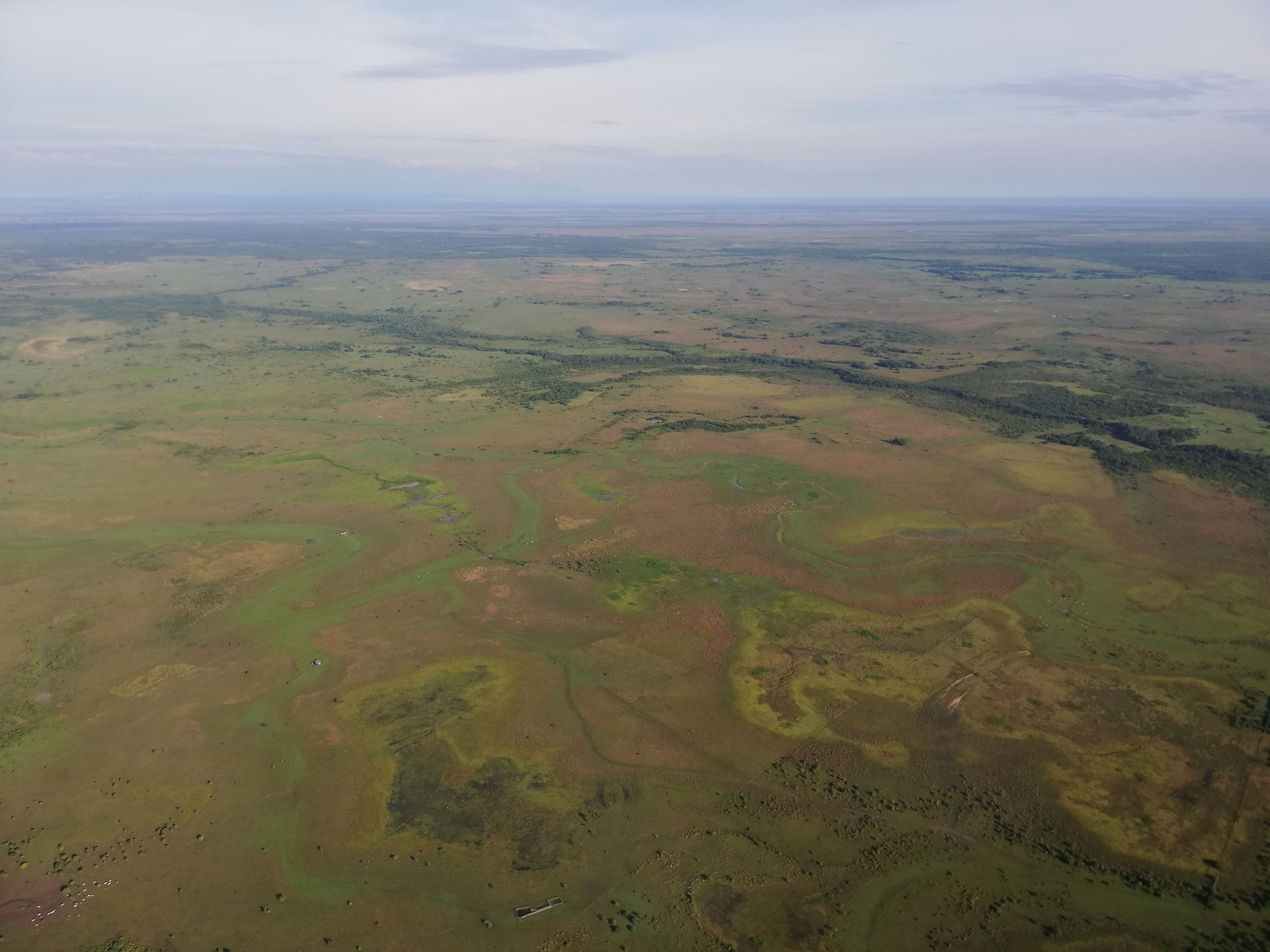 Las discusiones de la COP 16 y el rol que tendrá Colombia como país anfitrión