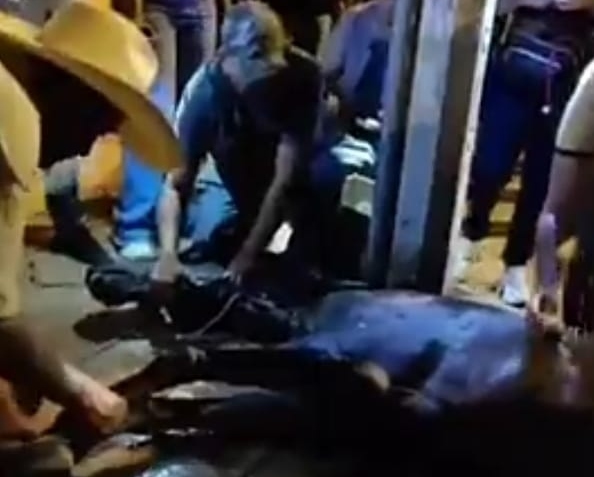 Caballo murió infartado en Feria de Tuluá: denuncian maltrato animal